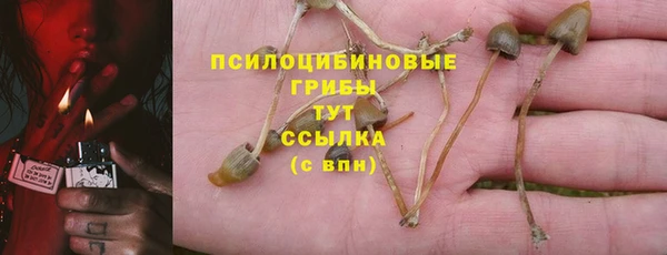 герыч Верхний Тагил
