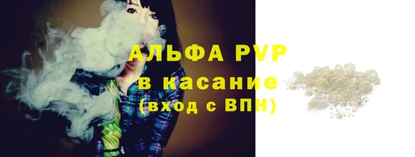 ECSTASY Богородск